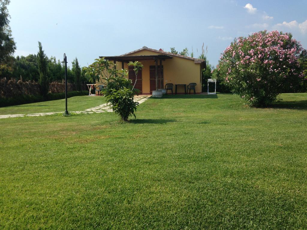 Agriturismo Eucaliptus Болгери Экстерьер фото